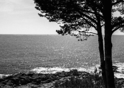 Old Calella Two